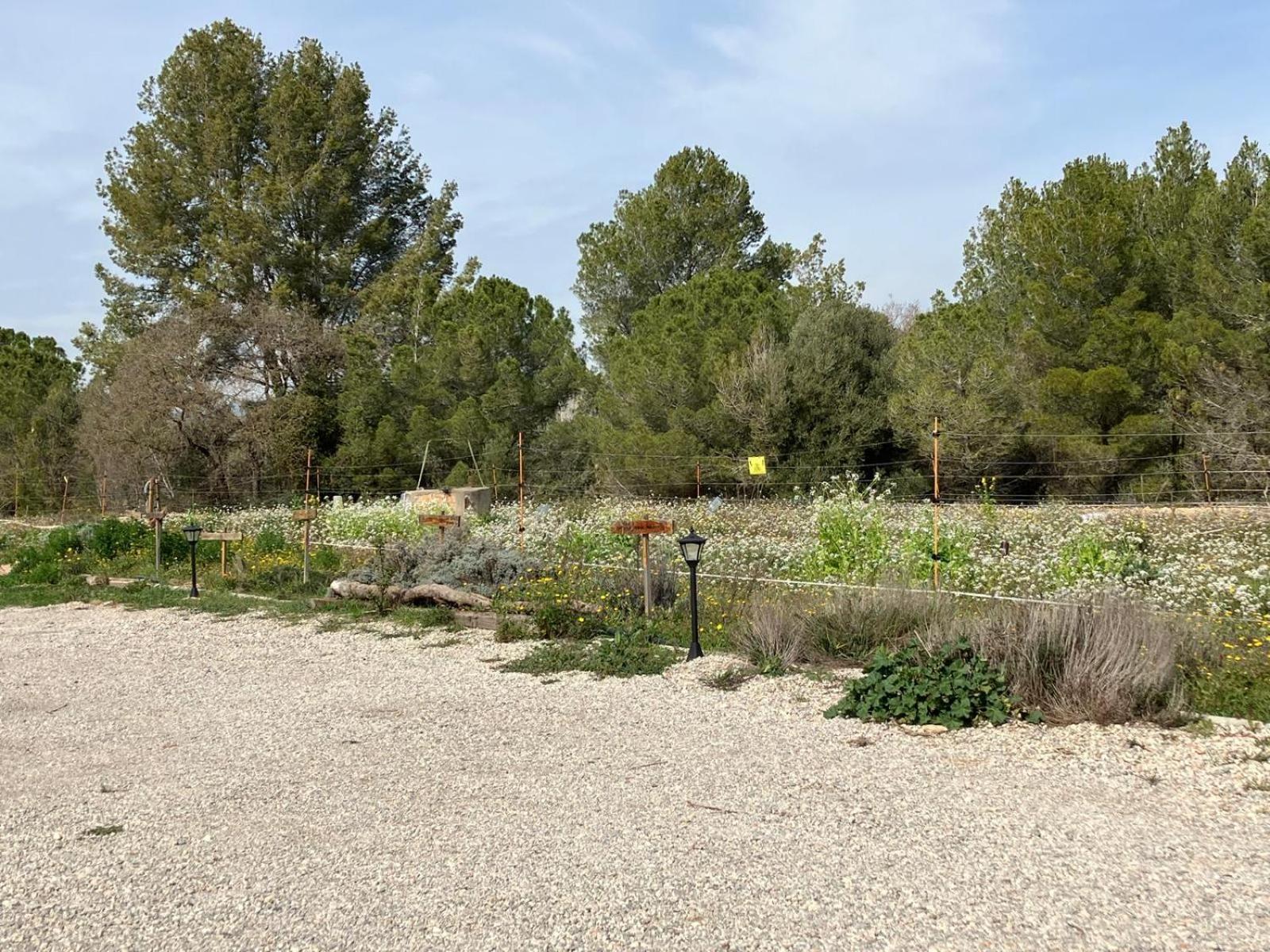 Apartment With Private Pool And Garden Sant Martí Sarroca Exterior foto