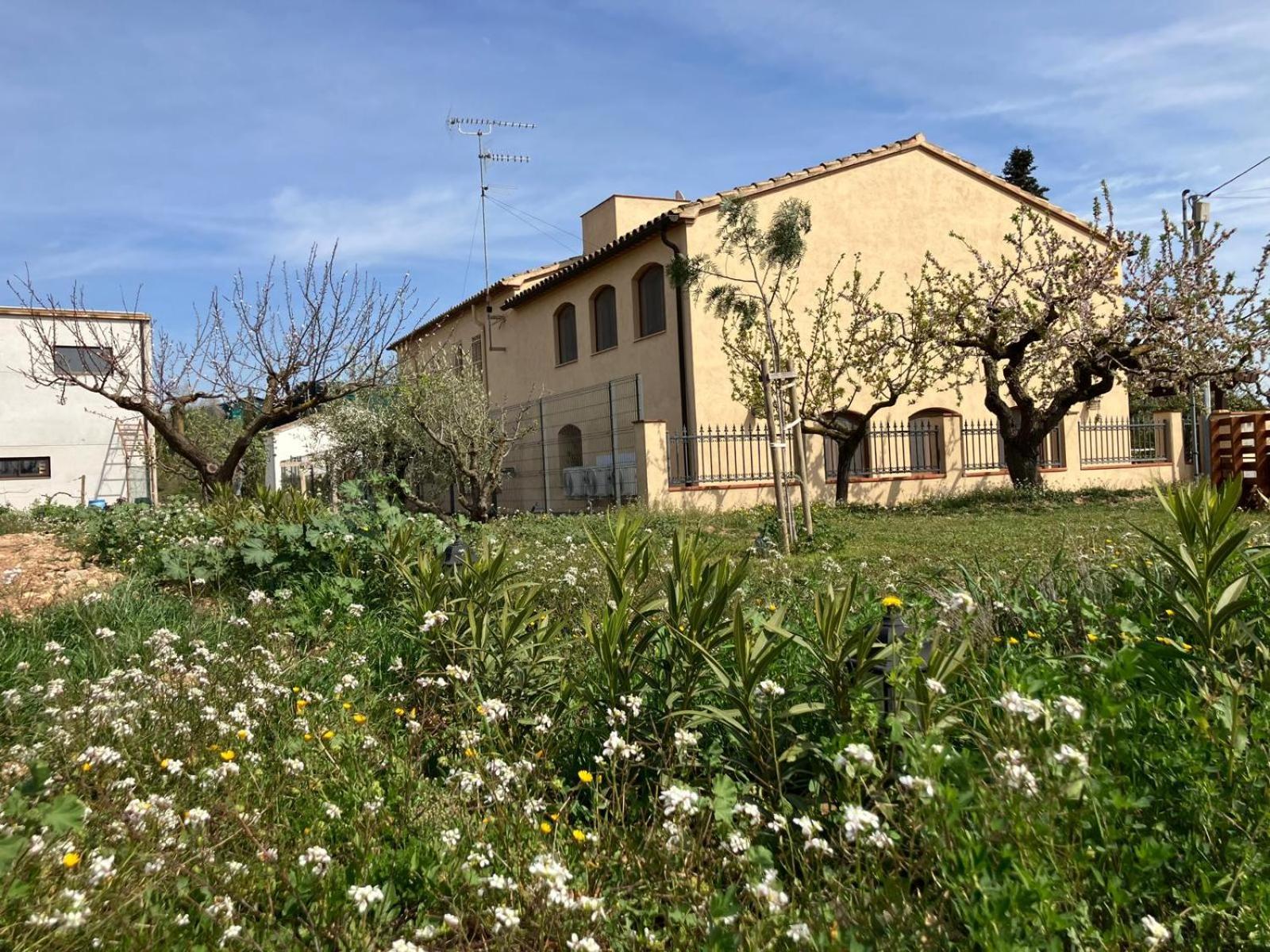 Apartment With Private Pool And Garden Sant Martí Sarroca Exterior foto
